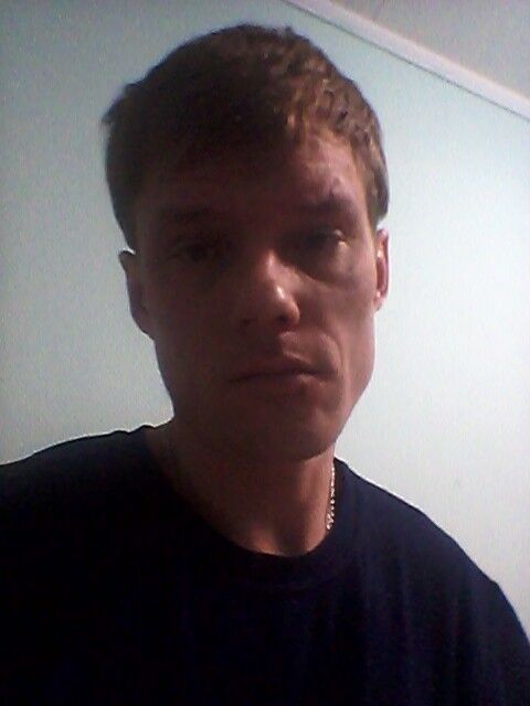  15206306  , 43 ,    -
