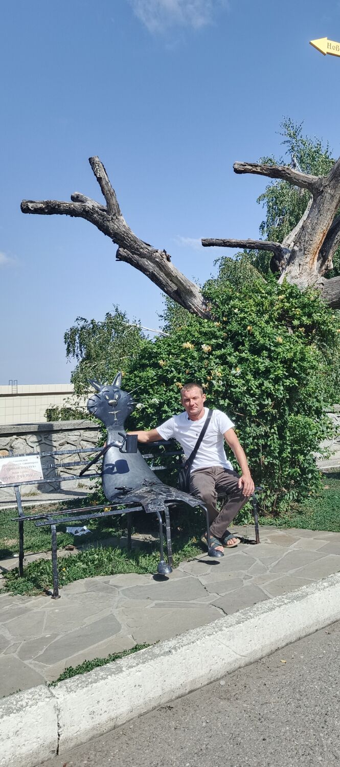  46924546  , 39 ,     