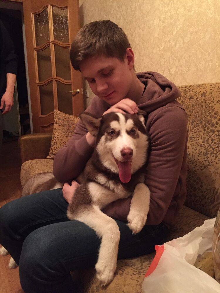 ���� 11913386 ������� ������, 27 ���, ���� ���������� � ������ ���������