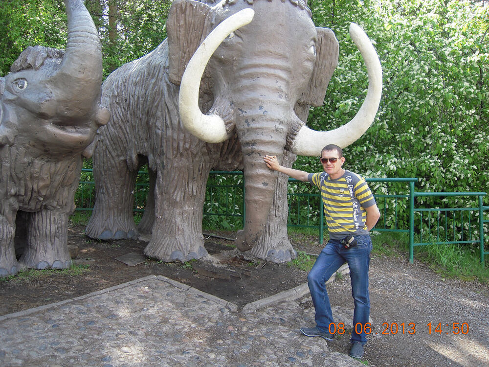  6604506  Dima, 42 ,    