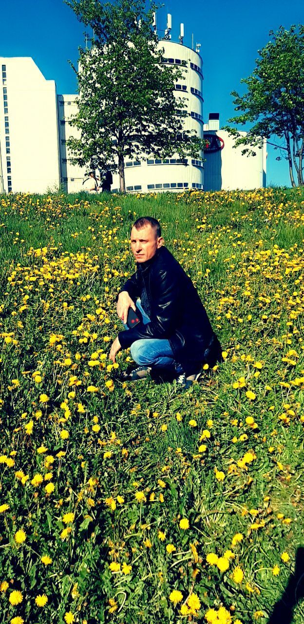 ���� 40225236 ������� �������, 50 ���, ���� ���������� � ������