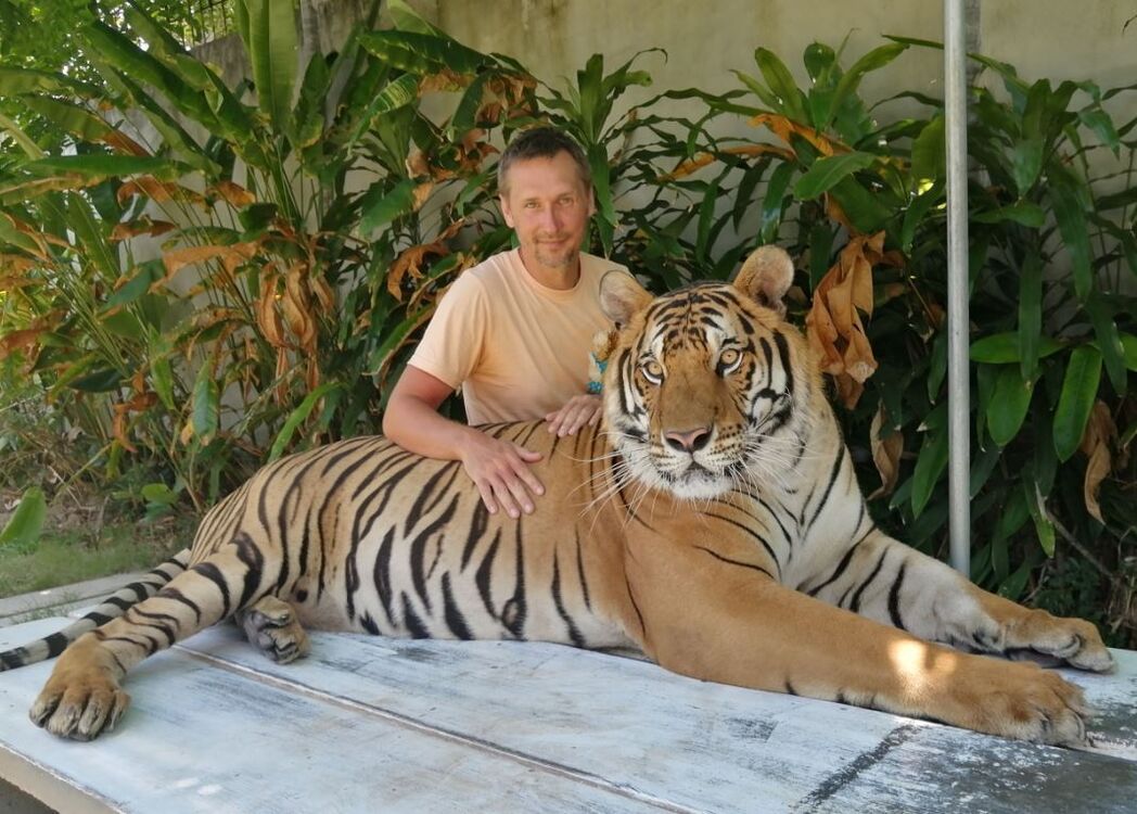 ���������� �����������, ���� ������� �����, 36 ���, ������������ ��� ������, ����� � ���������