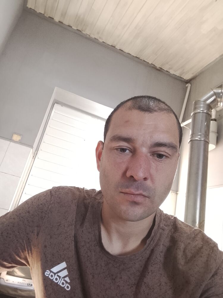 ���� 53568236 ������� �����, 36 ���, ���� ���������� � ��������