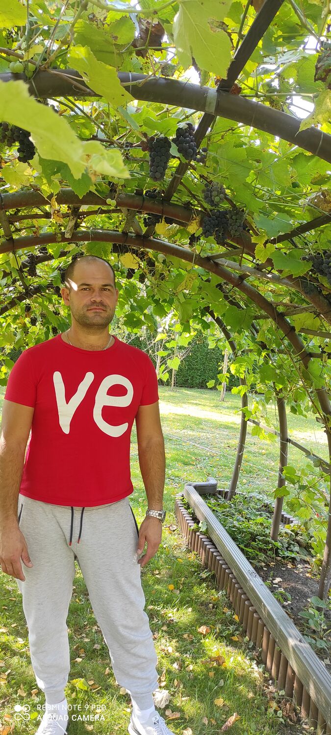 ���������� ����, ���� ������� ����, 40 ���, ������������ ��� ������, ����� � ���������