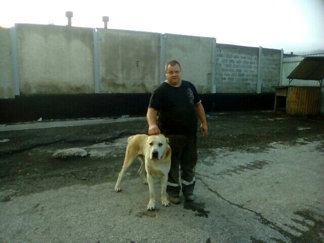 ���� 9110686 ������� �����, 51 ���, ���� ���������� � ������������