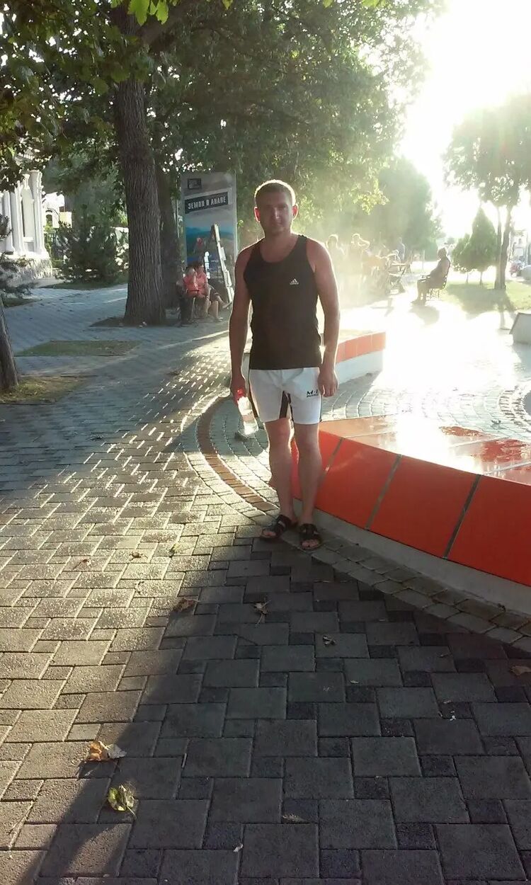  49560956  , 43 ,    
