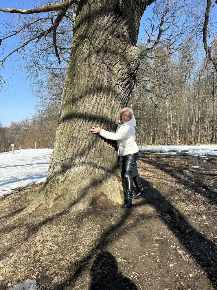 ���������� ������, ���� ������� ��������, 37 ���, ������������ ��� ����� � ���������, c�������� ���������, ���������