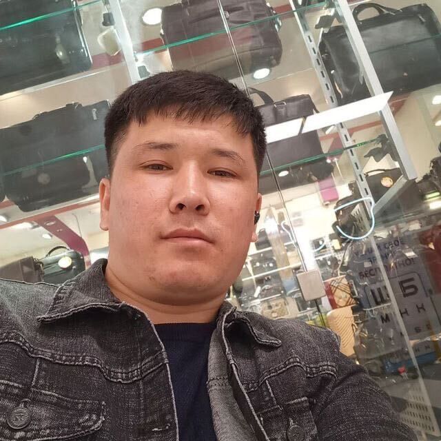  33513896  , 28 ,    