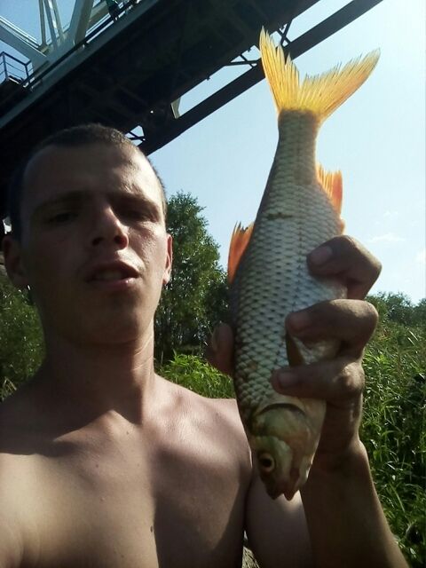 ���� 43919026 ������� ��������, 29 ���, ���� ���������� � ������