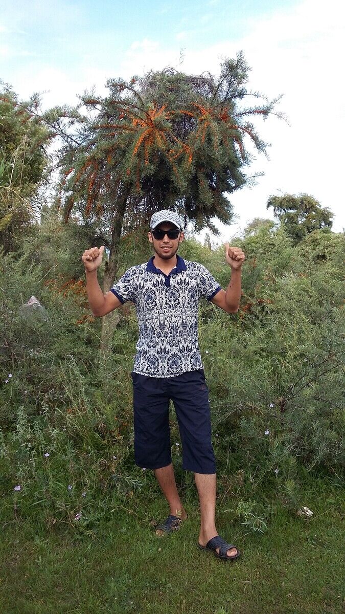 ���� 20596256 ������� ������, 33 ����, ���� ���������� � �������