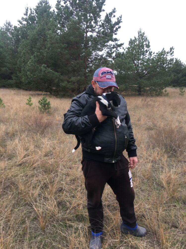 ���������� �����-���������, ���� ������� ������, 41 ���, ������������ ��� ������, ����� � ���������