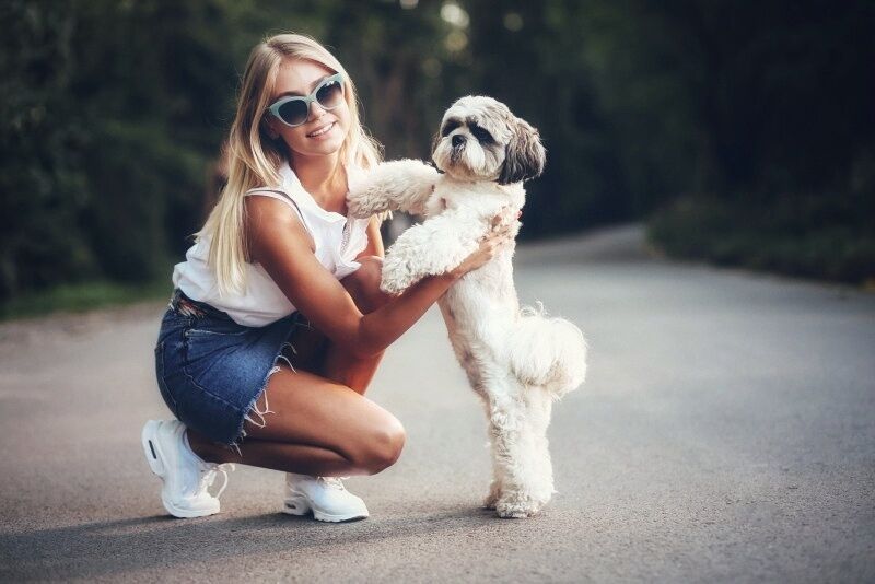 ���� 51629796 ������� ����, 35 ���, ���� ���������� � ����������