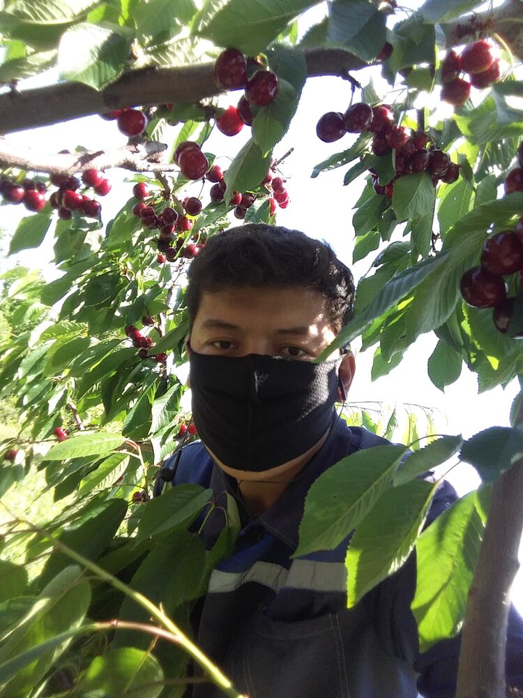 ���� 26890486 ������� �����, 29 ���, ���� ���������� � ������������