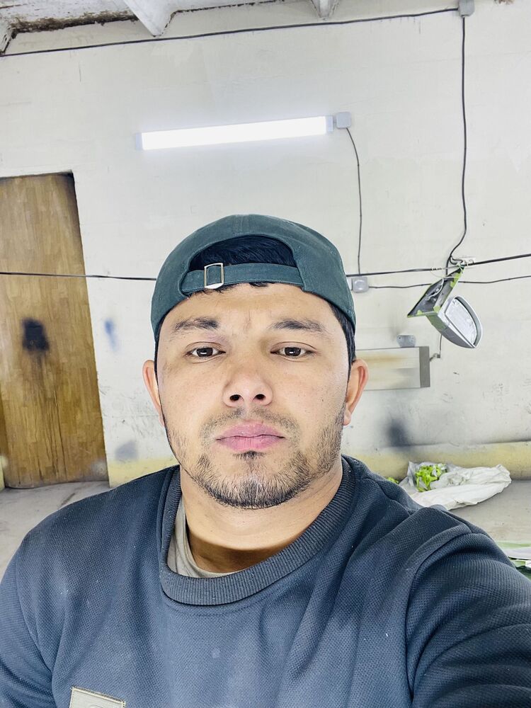 ���� 50169426 ������� TIMUR, 28 ���, ���� ���������� � ������