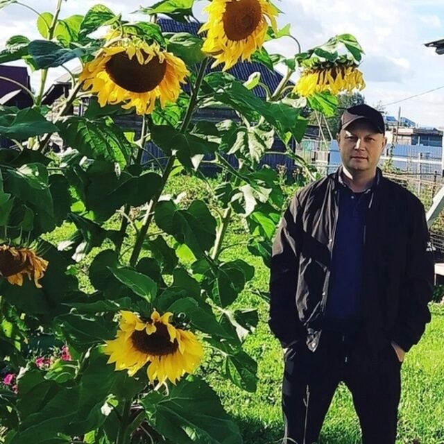  54452186  , 43 ,    -