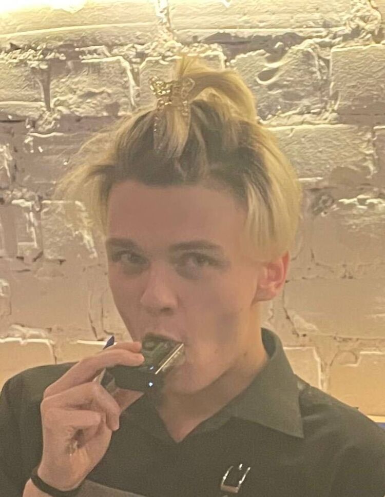  38543006  , 24 ,    -