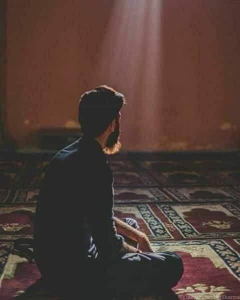 ���� 40094416 ������� ����, 34 ����, ���� ���������� � ������