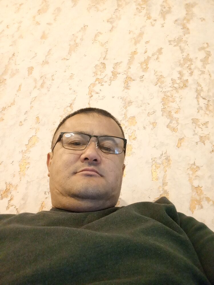  50049236  , 43 ,    
