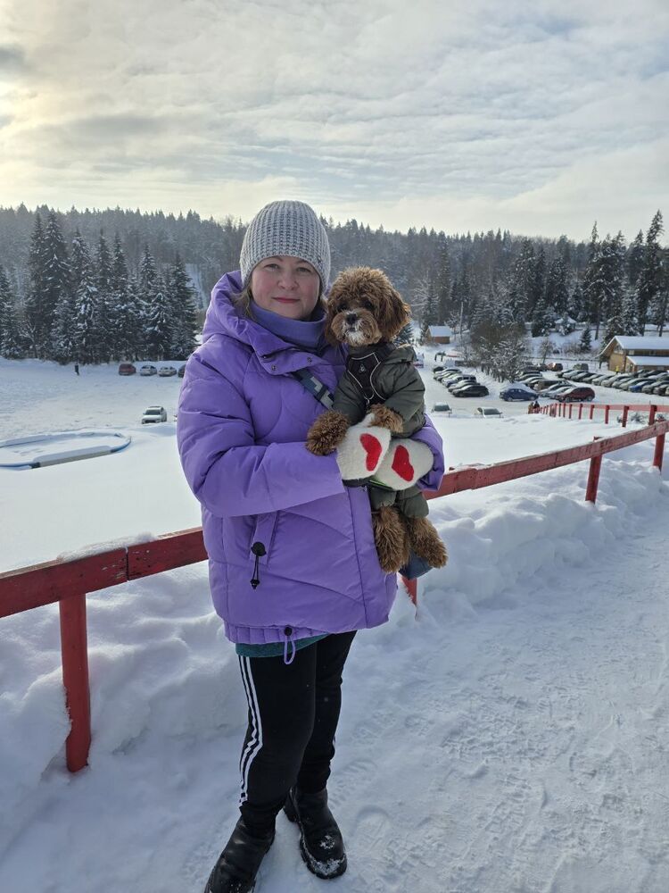 ���������� ���������, ���� ������� �����, 45 ���, ������������ ��� ������, ���������