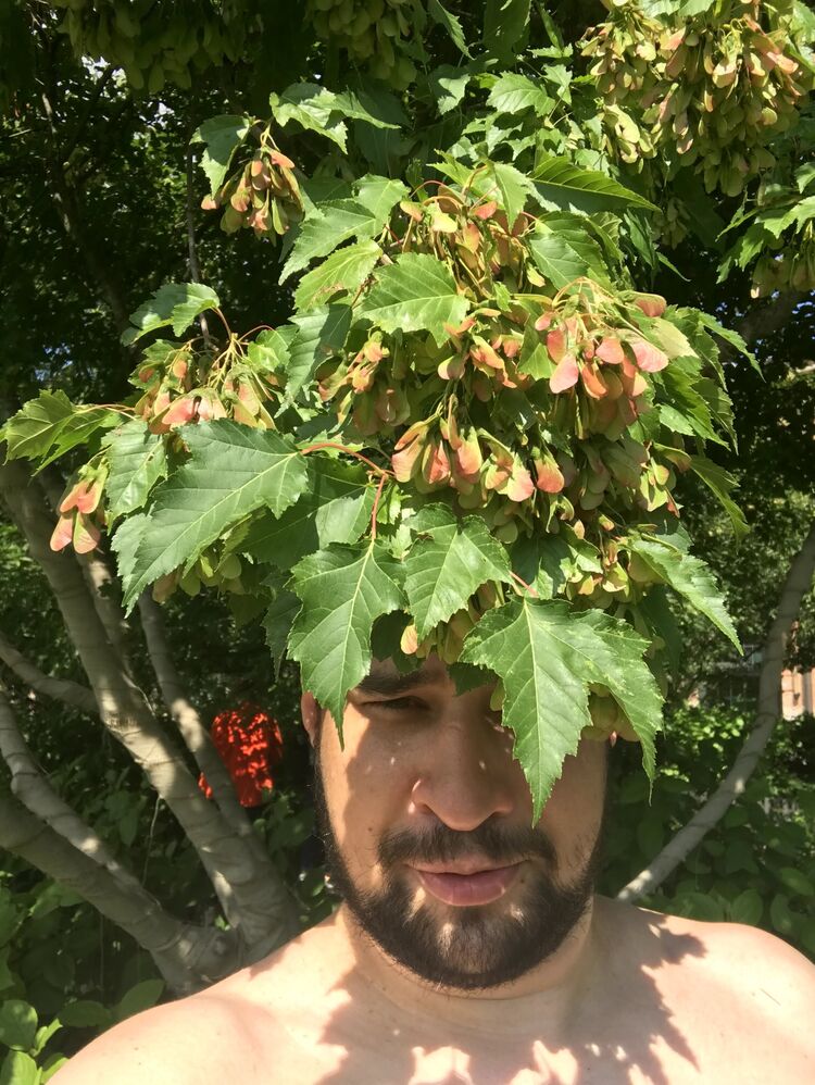  35706096  , 38 ,    -