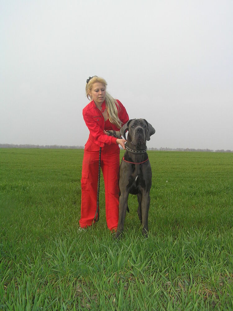 ���������� ����, ���� ������� Nana, 56 ���, ������������ 