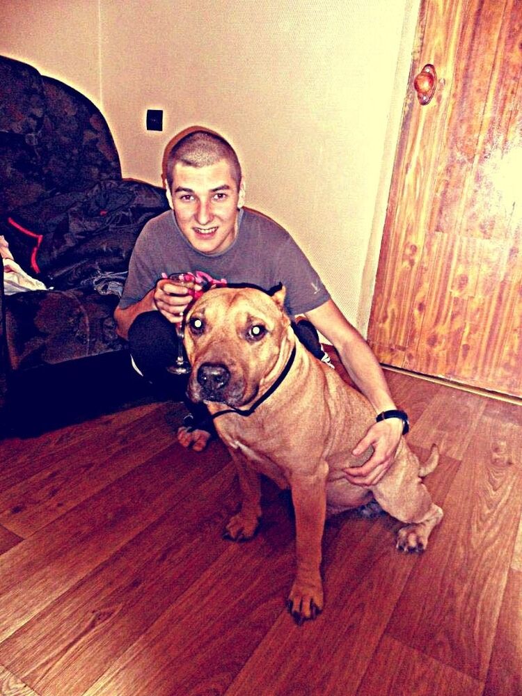 ���������� ������, ���� ������� ������, 34 ����, ������������ ��� ������, ����� � ���������, c�������� ���������