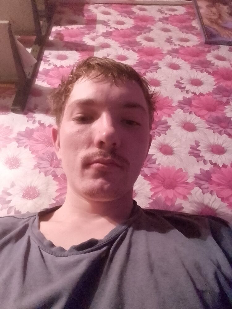  31267646  , 24 ,    