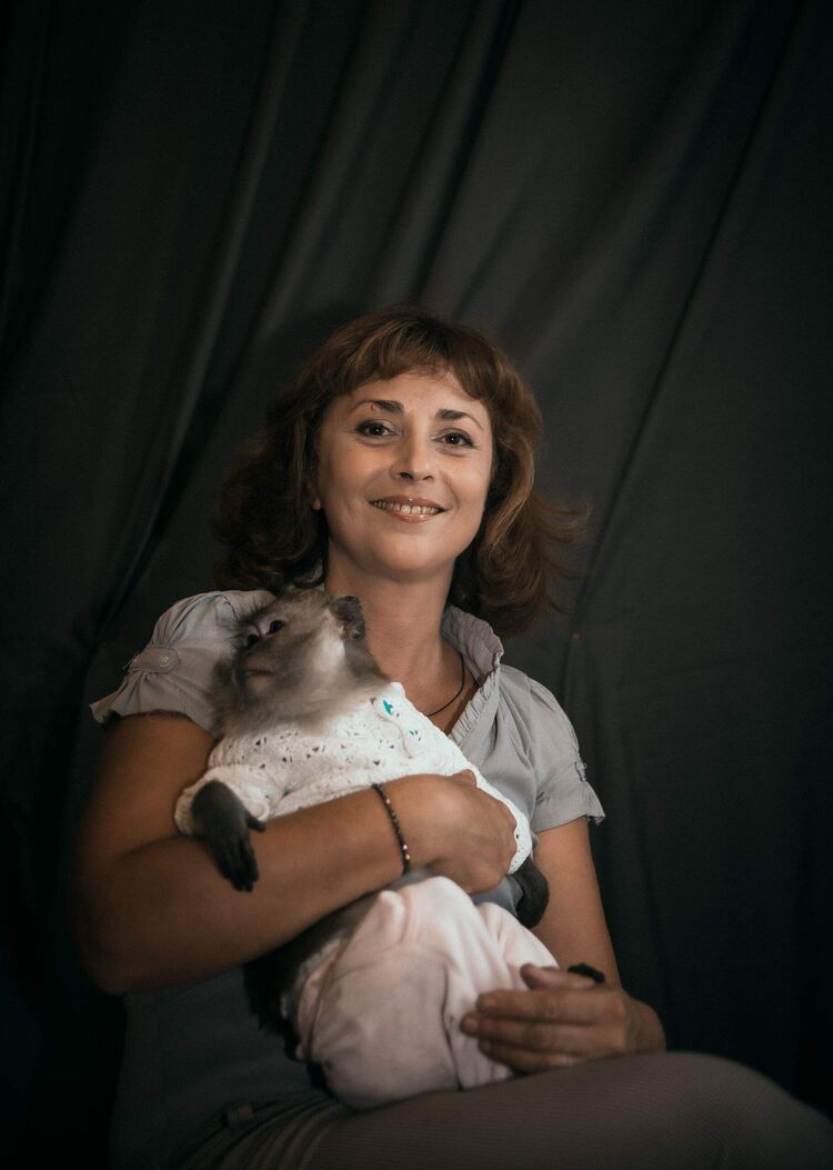 ���������� �����������, ���� ������� �����, 51 ���, ������������ ��� ������, ����� � ���������, c�������� ���������, ���������