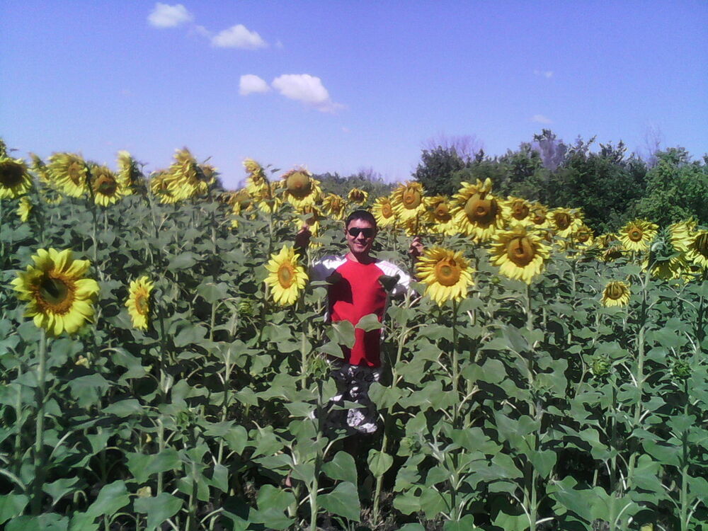  ,   Bek, 43 ,   