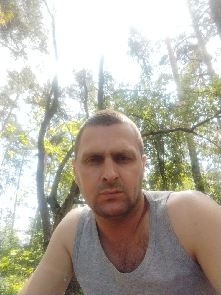  41528456  , 38 ,    