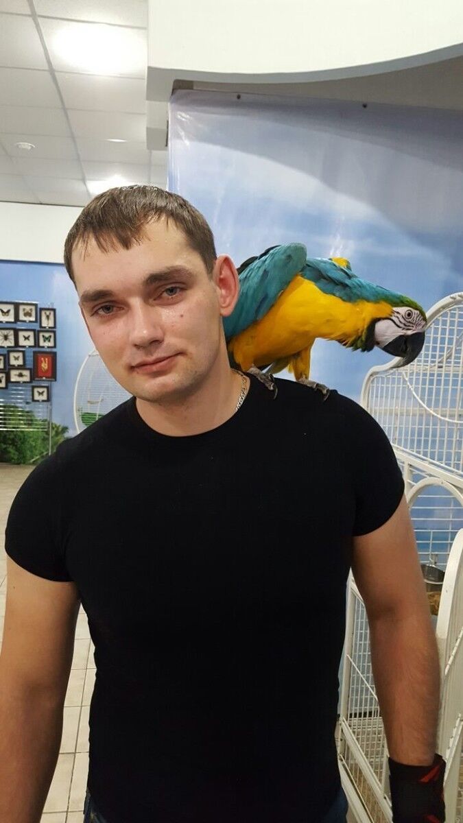  18848176  , 37 ,    -