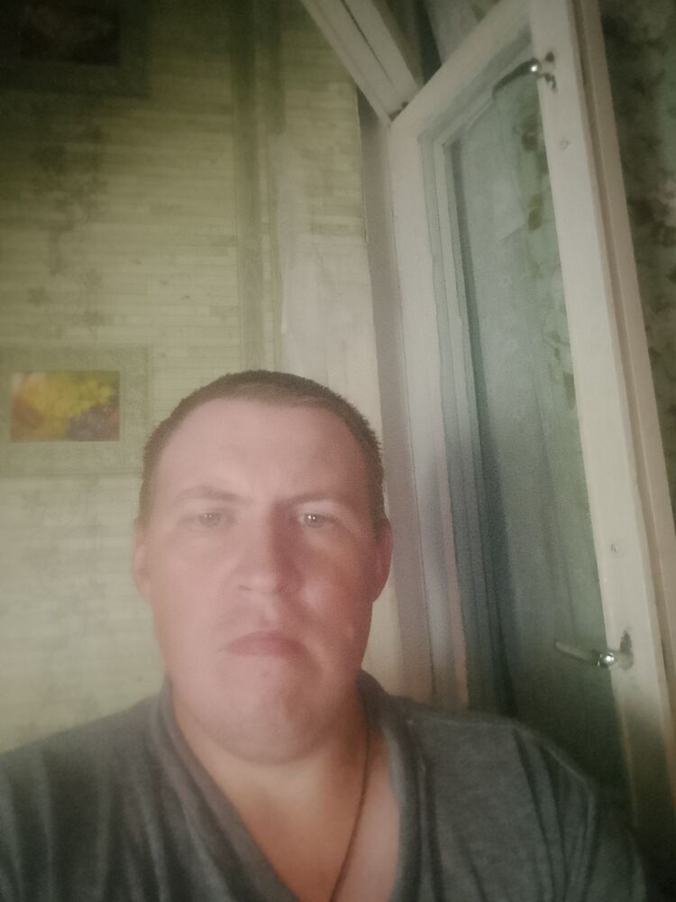  51695086  , 33 ,    -