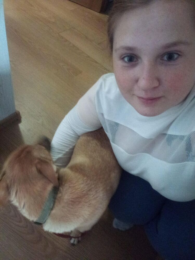 ,   , 29 ,  