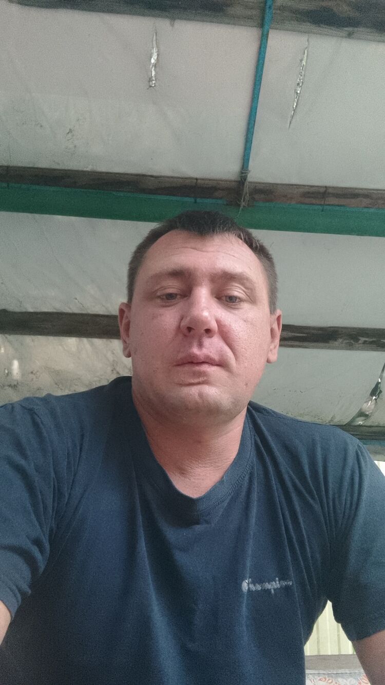  49430606  , 36 ,    