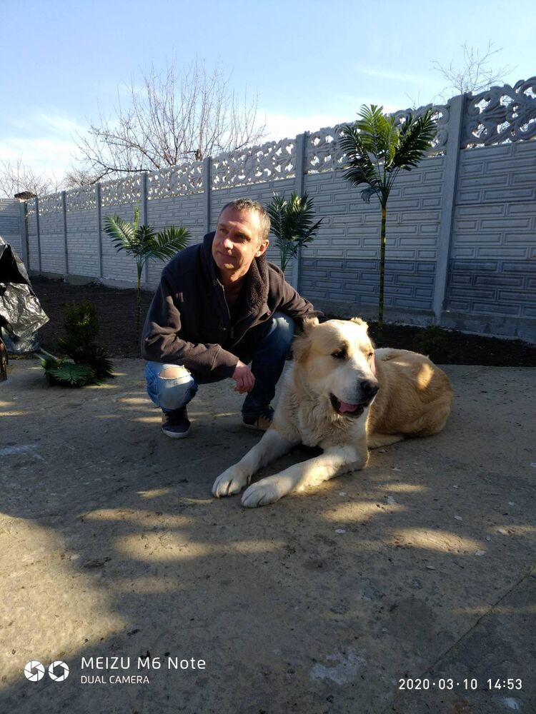 ���� 25196416 ������� ������, 50 ���, ���� ���������� � ��������