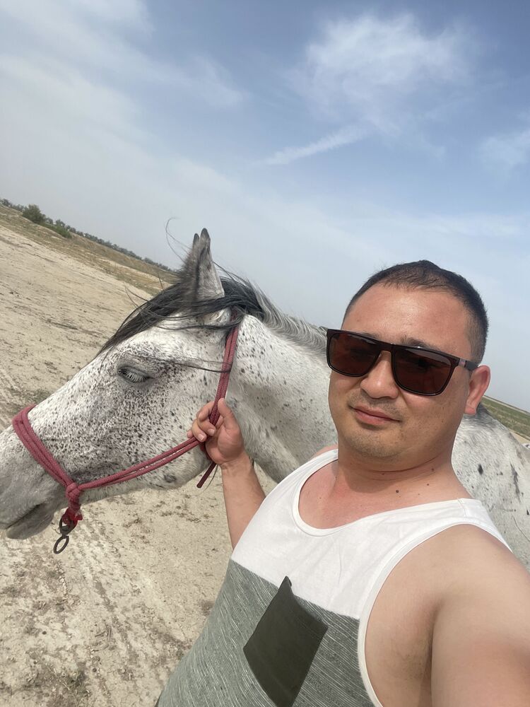  50907886  , 36 ,    