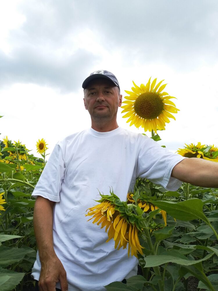  38644976  , 55 ,    -