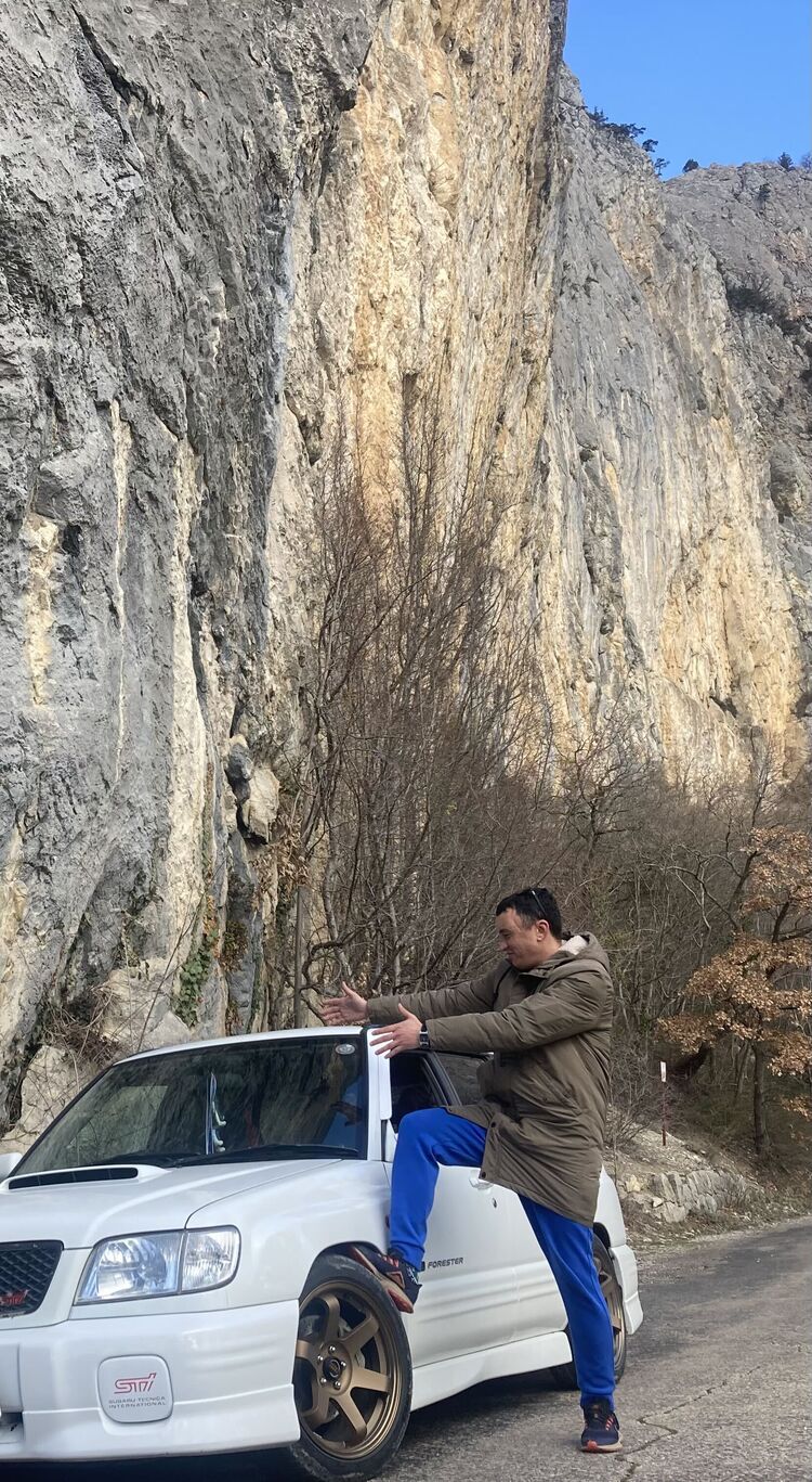  33187076  , 37 ,    