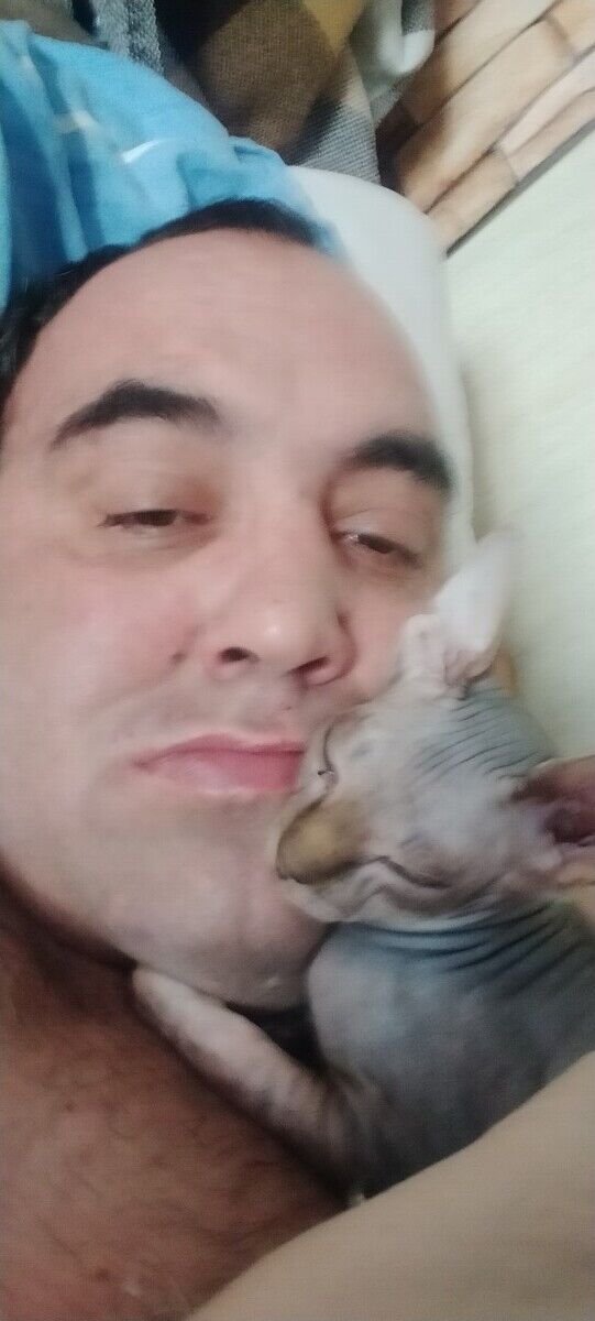 ���������� ������������, ���� ������� �����, 49 ���, ������������ ��� ������, ����� � ���������, c�������� ���������, ���������