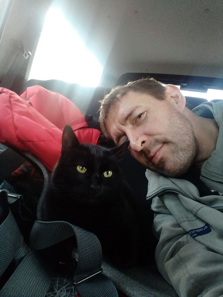 ���� 53667256 ������� �������, 98 ���, ���� ���������� � �����-����������