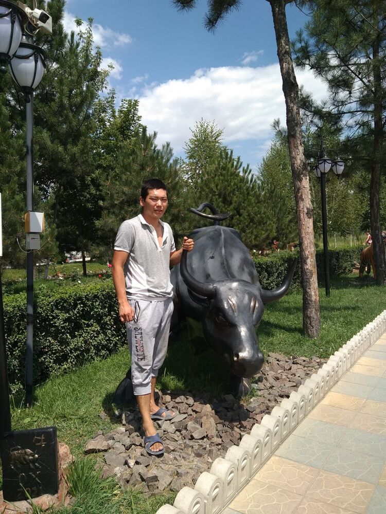 ���� 19247486 ������� ���������, 33 ����, ���� ���������� � �������