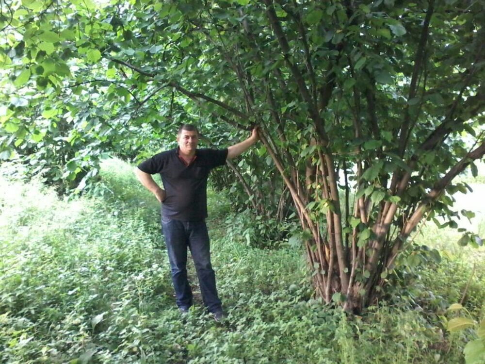 ���� 6026786 ������� Ggg, 50 ���, ���� ���������� � �������