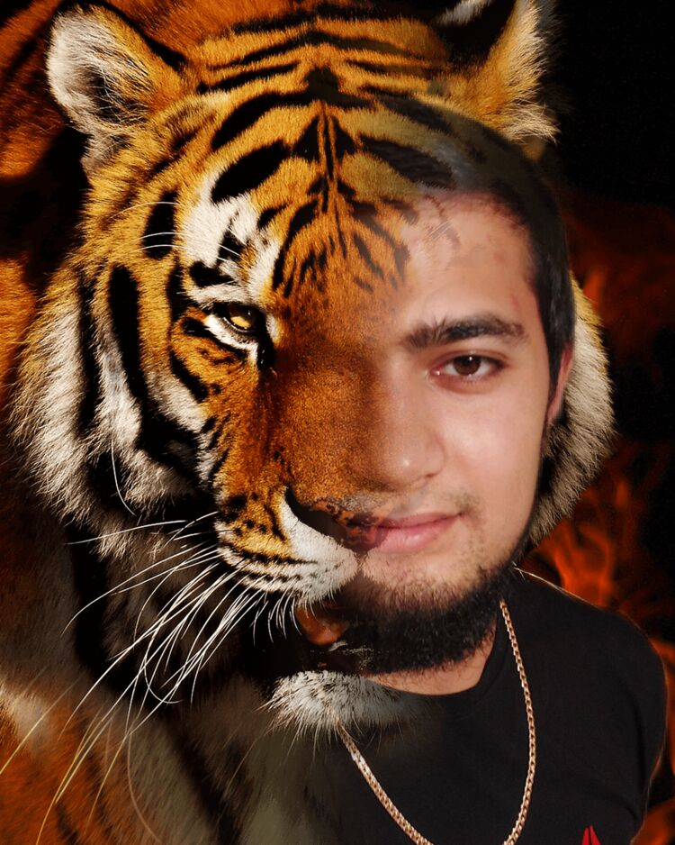 ���������� ������, ���� ������� �����, 28 ���, ������������ ��� ������, ����� � ���������, c�������� ���������