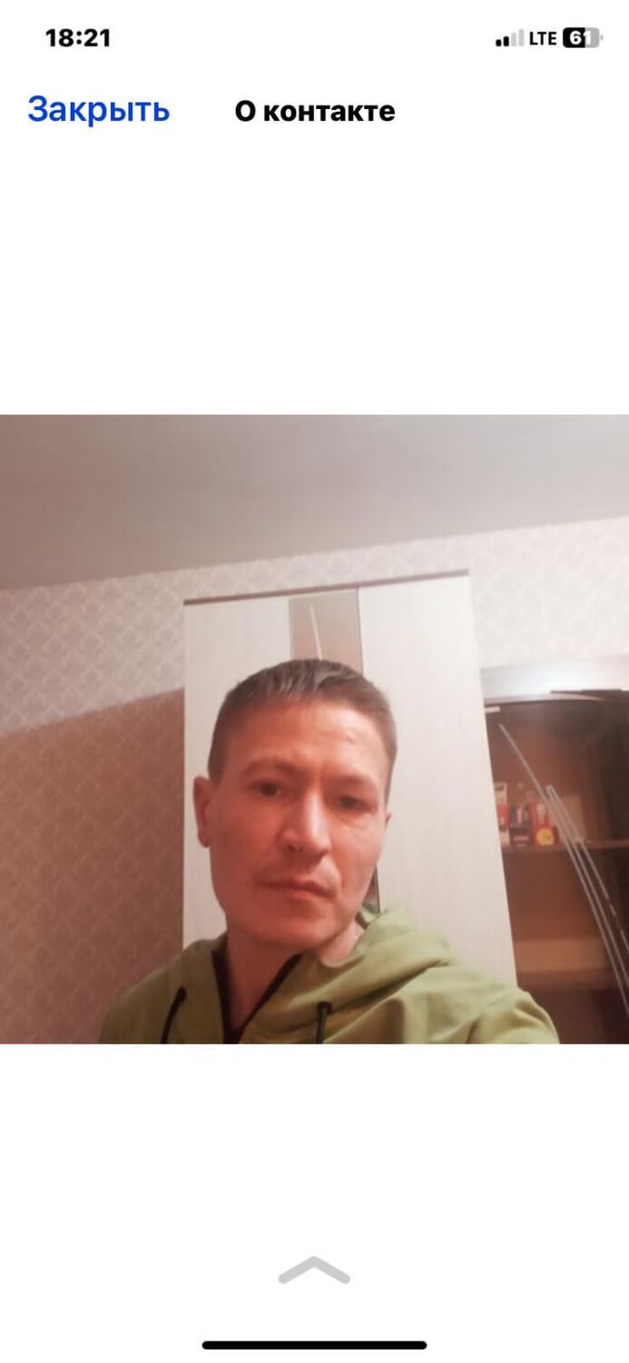  33736406  , 41 ,    