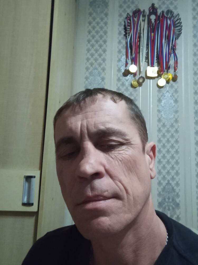  31648536  , 43 ,    