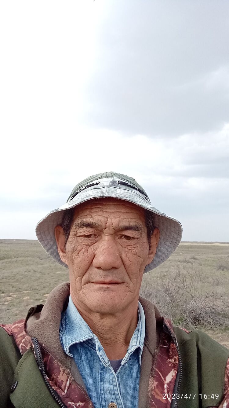  33685006  , 54 ,    