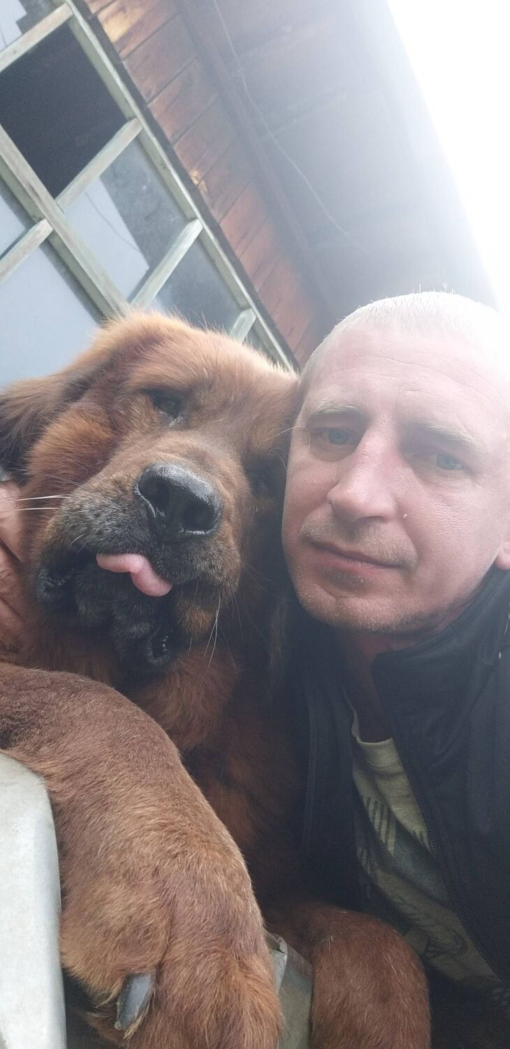 ���� 55100786 ������� ����, 44 ����, ���� ���������� � �������������