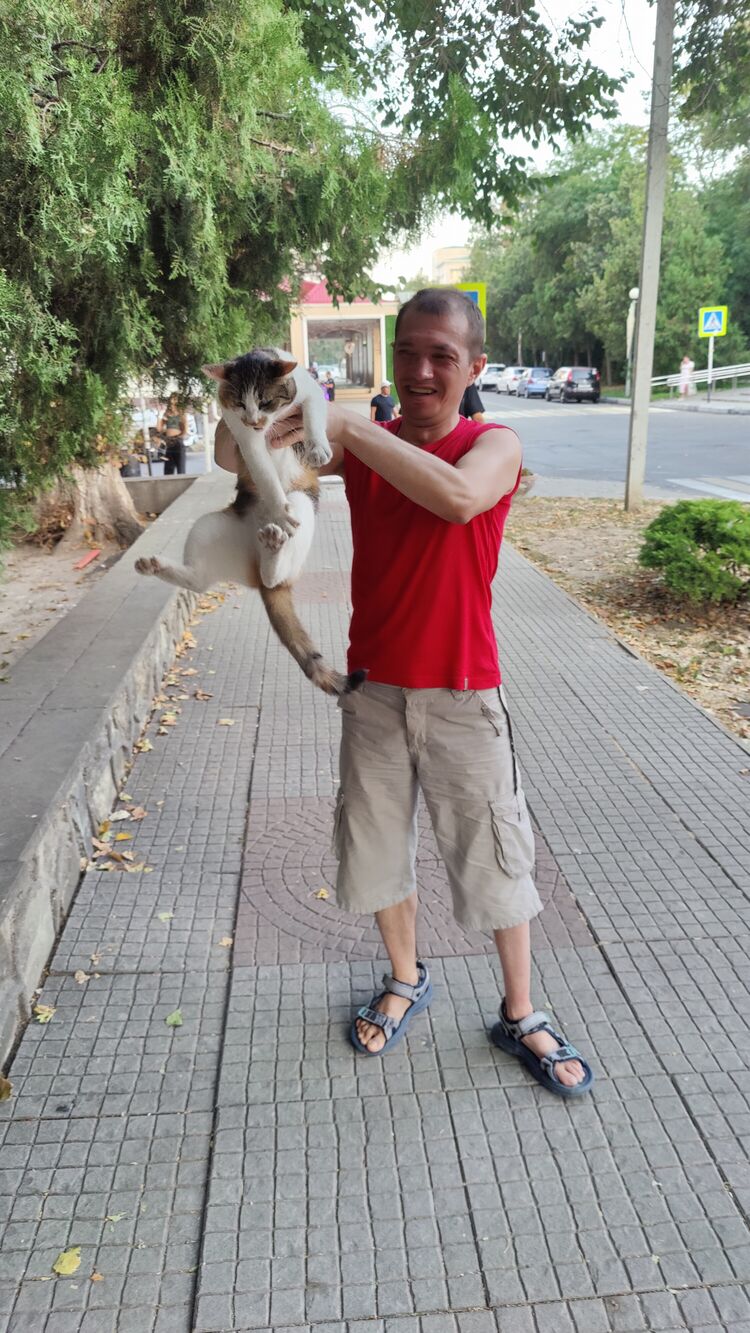 ���������� ������, ���� ������� �����, 44 ����, ������������ ��� ������, ����� � ���������, c�������� ���������, ���������