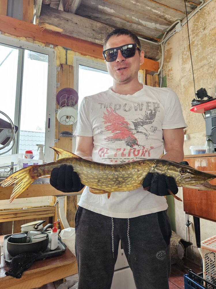 ���������� ������, ���� ������� Artem, 37 ���, ������������ ��� ������, ����� � ���������