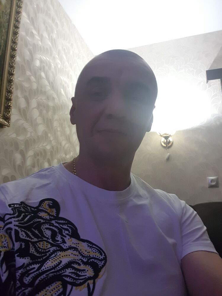  53102666  , 43 ,    